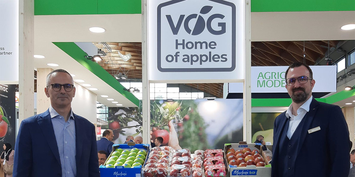 Vog traina il futuro della categoria mela